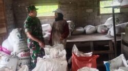 Babinsa Nguntoronadi Kawal Stok Beras, Ketahanan Pangan Lokal Diperkuat Lewat Pendekatan Humanis