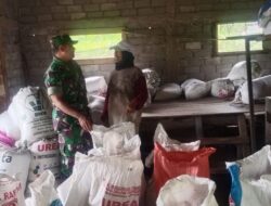 Babinsa Nguntoronadi Kawal Stok Beras, Ketahanan Pangan Lokal Diperkuat Lewat Pendekatan Humanis