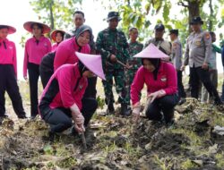 Dukung Ketahanan Pangan, Polres Bojonegoro dan Perhutani Tanam Jagung-Ketela di Kawasan Hutan