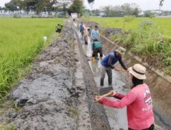 DPUPR Blora Perkuat Pemeliharaan Irigasi, Jaga Ketahanan Pangan dan Produktivitas Pertanian