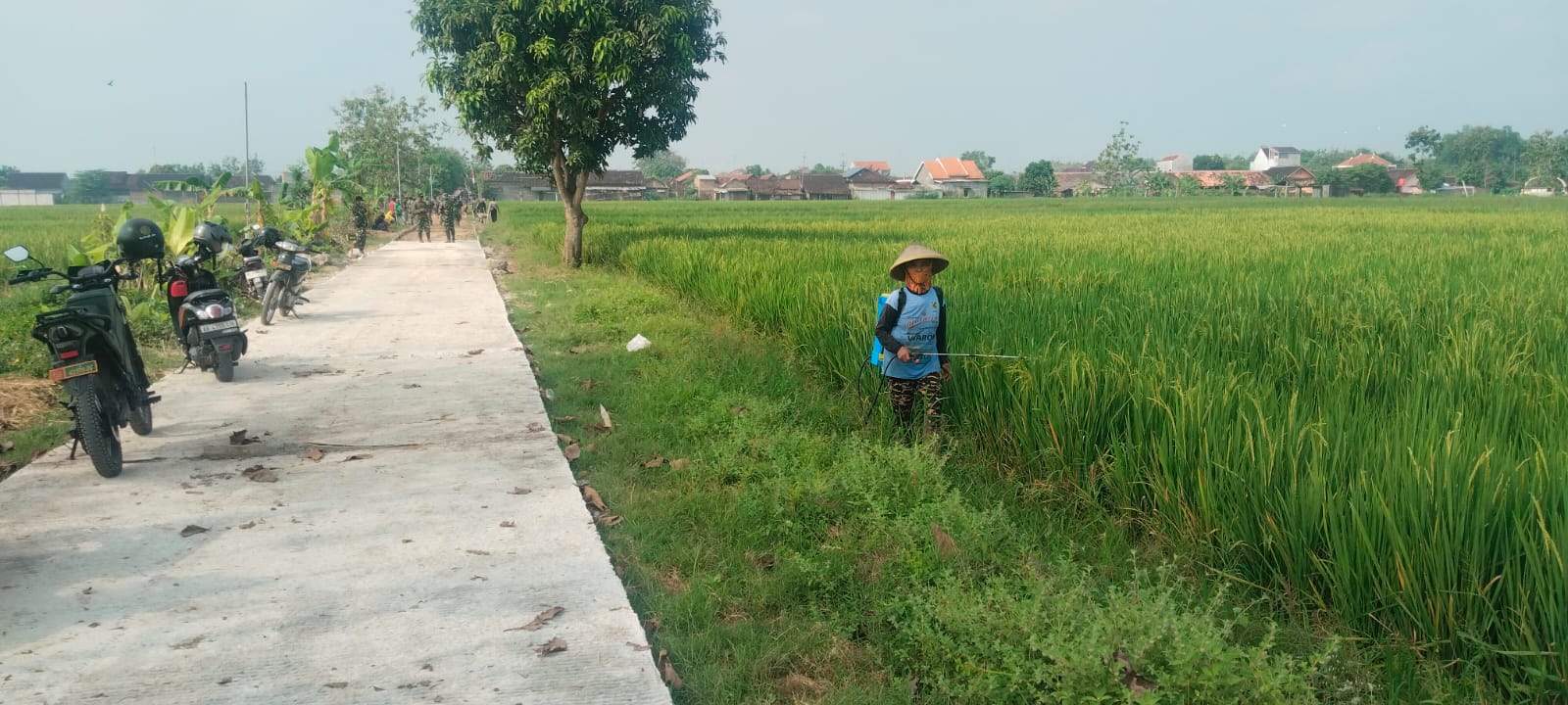 IMG 20260512 WA0017