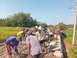 Libur Tanggal Merah Dimanfaatkan untuk Gotong Royong, Warga Kauman dan Satgas TMMD Percepat Pengecoran Jalan Desa