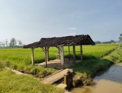 Tumbuhkan Harapan Baru, Pak Warno Siapkan Usaha Warung untuk Warga dan Petani