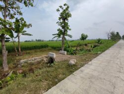 Pembangunan Jalan Cor TMMD Bangkitkan Asa Warga Desa Puro untuk Menata Masa Depan