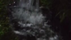 IMG 20260518 WA0034(1)