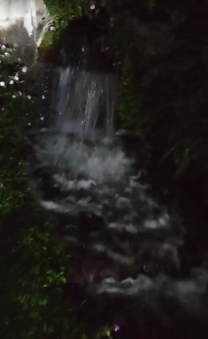 IMG 20260518 WA0034(1)