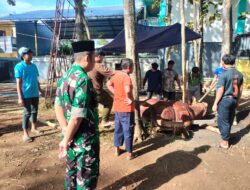 Sapi Kurban Presiden RI Berbobot 970 Kilogram Disembelih di Ponpes Citra Suhada Wonogiri, Ribuan Warga Antusias Hadiri Kegiatan