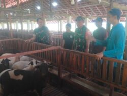 Curhat di Kandang Kambing, Babinsa Gemolong Perkuat Kewaspadaan Peternak terhadap Ancaman Penyakit Ternak