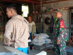 Babinsa Selo Intensifkan Edukasi Kesehatan Ternak, Dorong Peternak Waspada PMK dan BEF