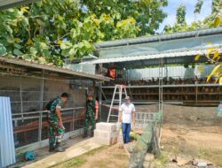 Di Balik Ribuan Butir Telur, Babinsa Dampingi Peternak Jaga Produktivitas dan Ketahanan Pangan Desa