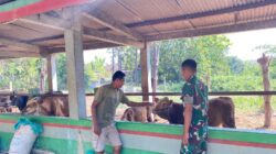 IMG 20260619 WA0017