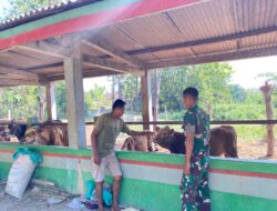 Prajurit Yonif TP 885/Belibis Putih Serap Pengetahuan Peternakan, Pererat Kedekatan dengan Masyarakat