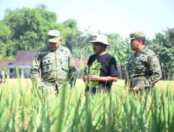 Korem 081/DSJ Dorong Inovasi Pertanian, Varietas Padi Baru di Ngawi Tunjukkan Produktivitas Tinggi