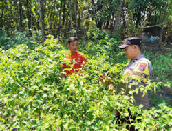 Polres Ngawi Perkuat Ketahanan Pangan dari Pekarangan Warga, Dorong Kemandirian Pangan Berbasis Keluarga