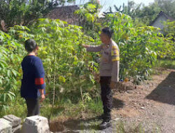 Bhabinkamtibmas Polres Ngawi Dorong Pemanfaatan Pekarangan Produktif untuk Perkuat Ketahanan Pangan Nasional