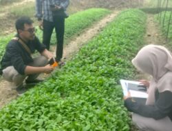 Antisipasi Risiko Iklim, Bojonegoro Siapkan Benih Unggul untuk Dongkrak Produktivitas Tembakau