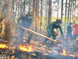 Kodim 0728/Wonogiri Perkuat Kesiapsiagaan Hadapi Musim Kemarau Lewat Latihan Gabungan Penanggulangan Karhutla