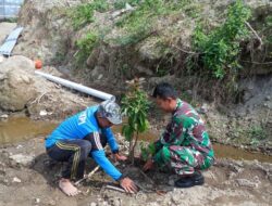 Hijaukan Lereng Sungai, Babinsa Mliwis dan Warga Perkuat Mitigasi Bencana Lewat Gerakan Penanaman Pohon