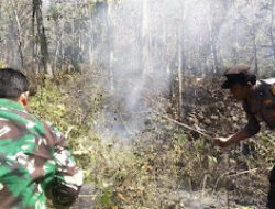 Kebakaran Lahan Melanda Bukit Gogor Ngawi, TNI-Polri dan Warga Bergerak Cepat Padamkan Api