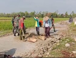 Cegah Risiko Kecelakaan, Babinsa dan Warga Guworejo Gotong Royong Perkuat Bahu Jalan