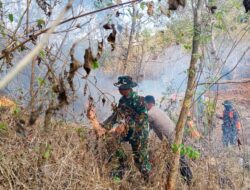 Petugas Gabungan Kembali Padamkan Kebakaran Hutan dan Lahan di Gunung Gajah