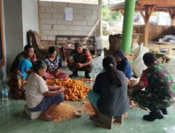 Panen Jagung di Gesi Jadi Ruang Komsos, Babinsa Turun Langsung Bantu Petani