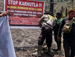 Cegah Karhutla di Musim Kemarau, Polisi dan Perhutani Intensifkan Patroli Hutan Jember
