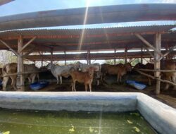 Dari Program Pemerintah Menjadi Kelompok Mandiri, SPR Mega Jaya Bojonegoro Bertahan 14 Tahun